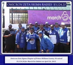 Click to view album: 2015 March for Babies